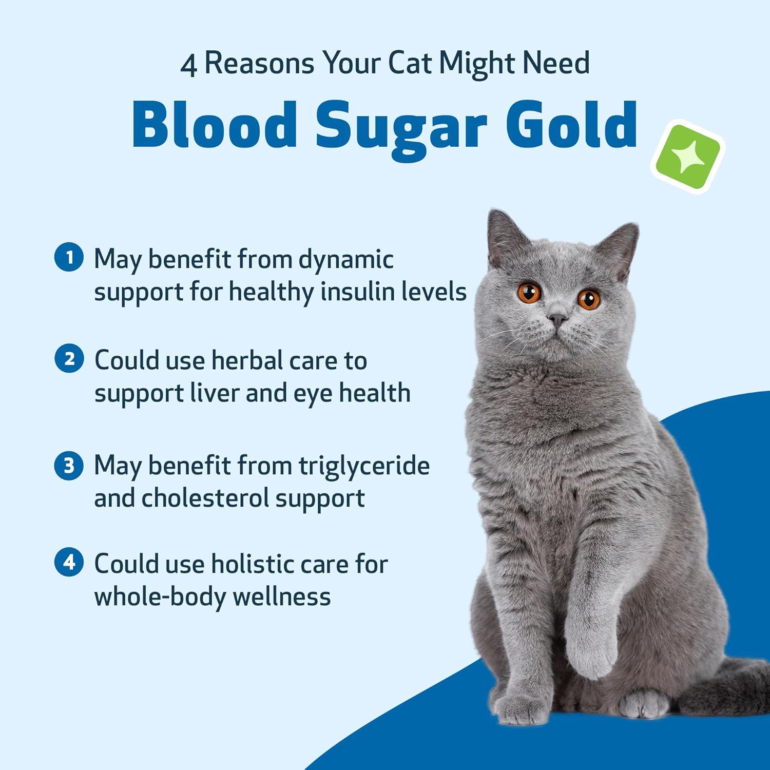 Suplemento Líquido para Gatos Pet Wellbeing Blood Sugar Gold 118ml