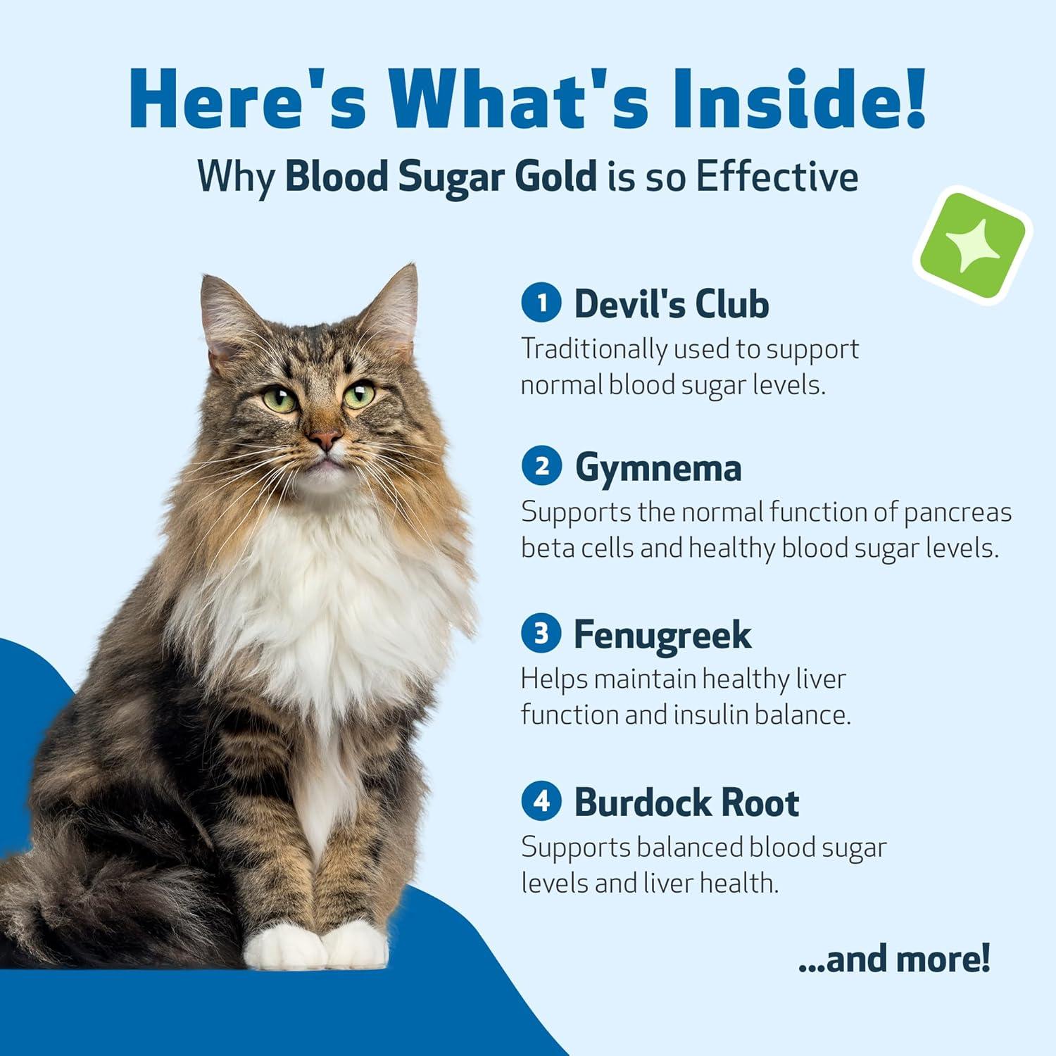 Suplemento Líquido para Gatos Pet Wellbeing Blood Sugar Gold 118ml