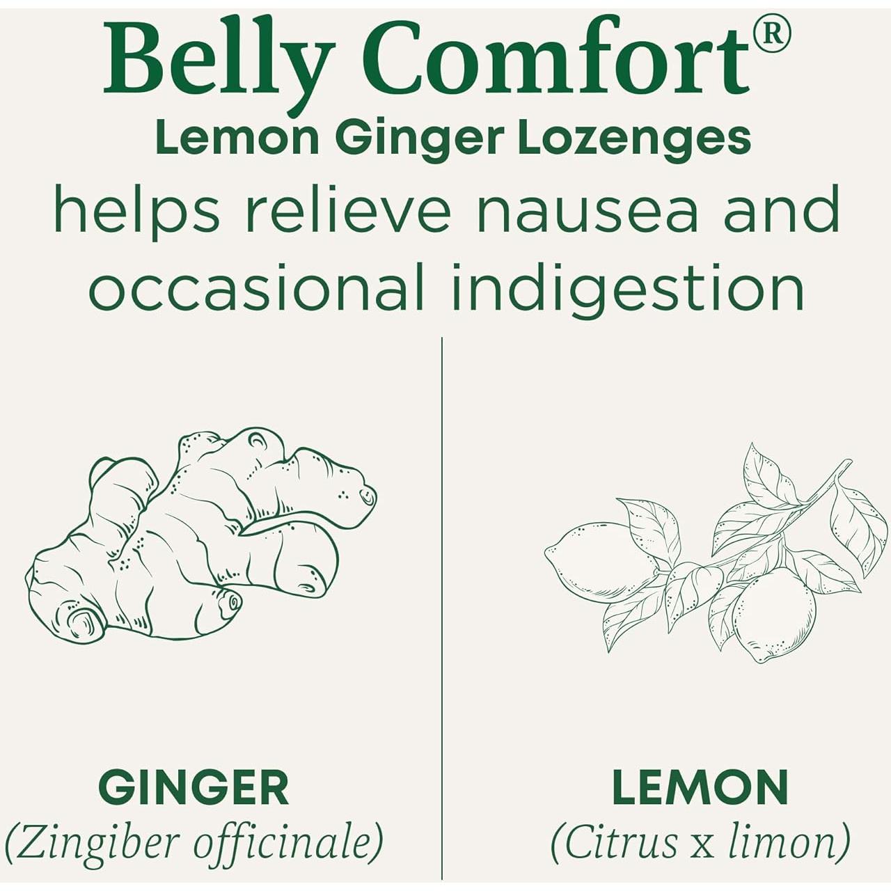 Pastillas Digestivas Orgánicas Limón Jengibre - 30 Unidades - Medicinales Tradicionales