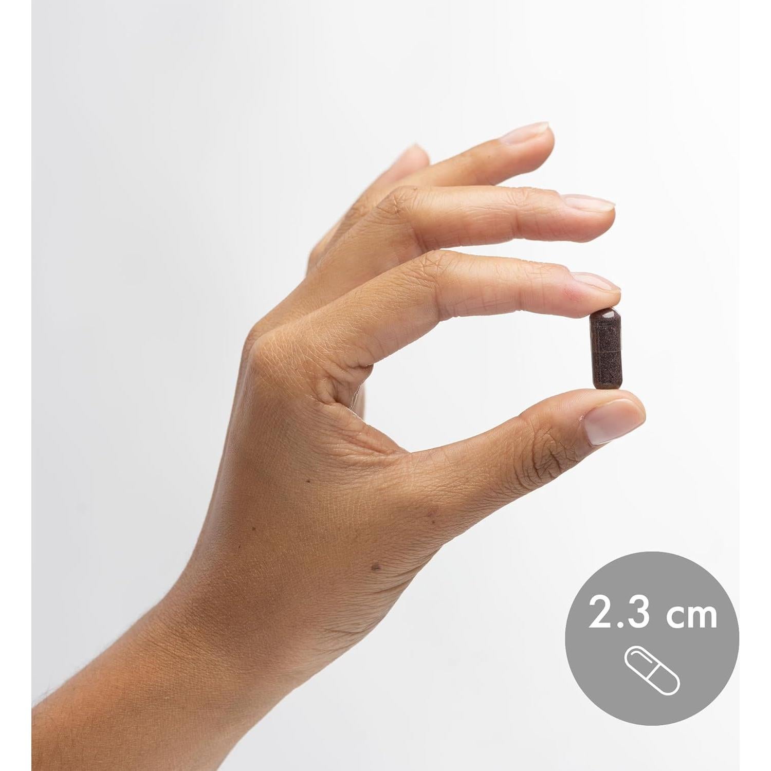 Suplemento Dietético Dr. Mercola Elderberry Orgánico 60 Cápsulas