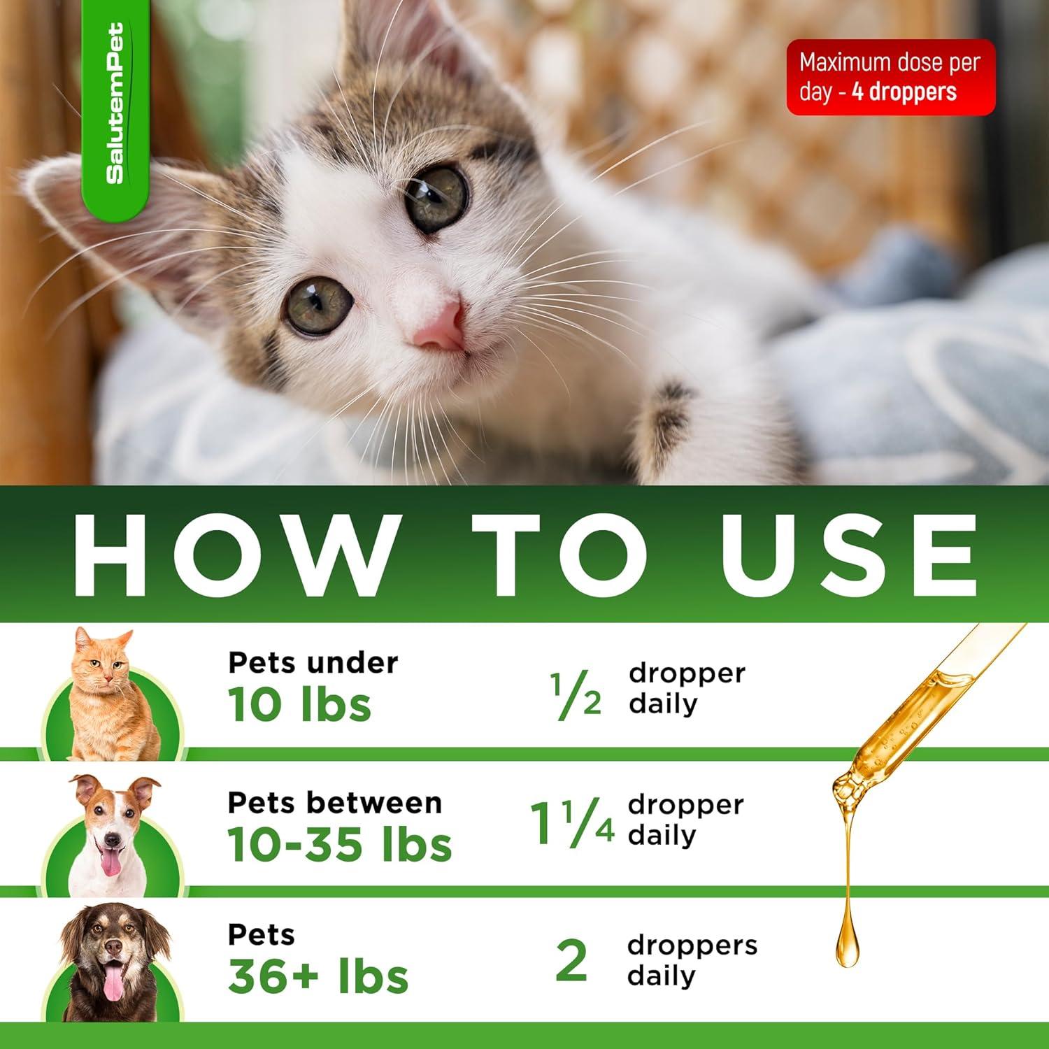 Antibiótico Natural para Perros y Gatos SalutemPet 60 ml