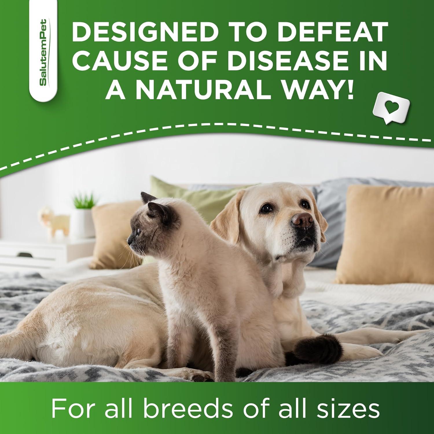 Antibiótico Natural para Perros y Gatos SalutemPet 60 ml