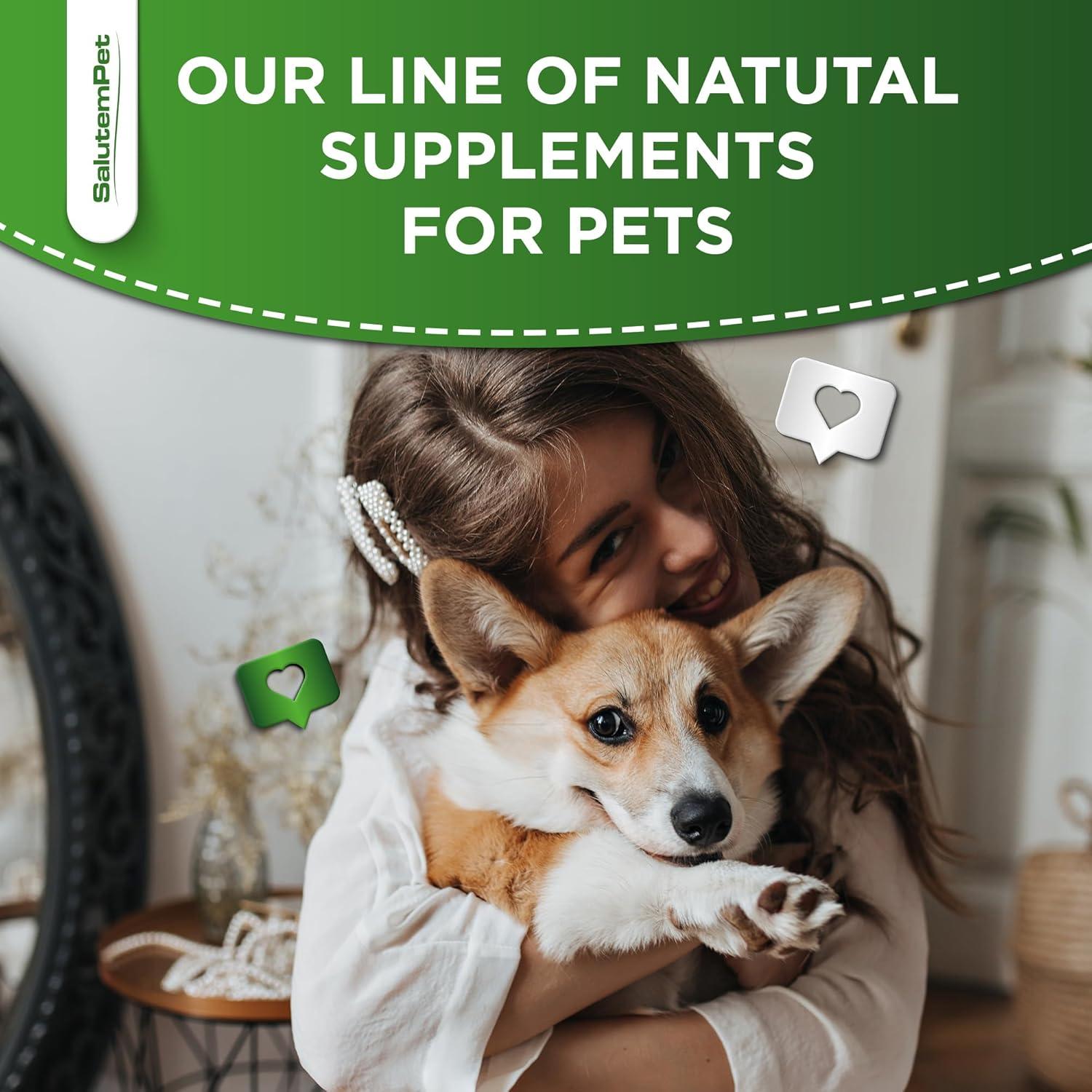 Antibiótico Natural para Perros y Gatos SalutemPet 60 ml