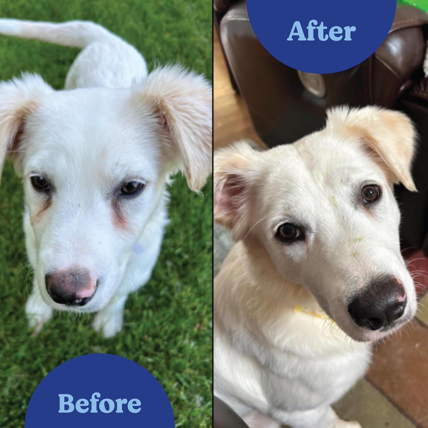 Suplemento Natural Plus para Manchas de Lagrimas Perros 75g