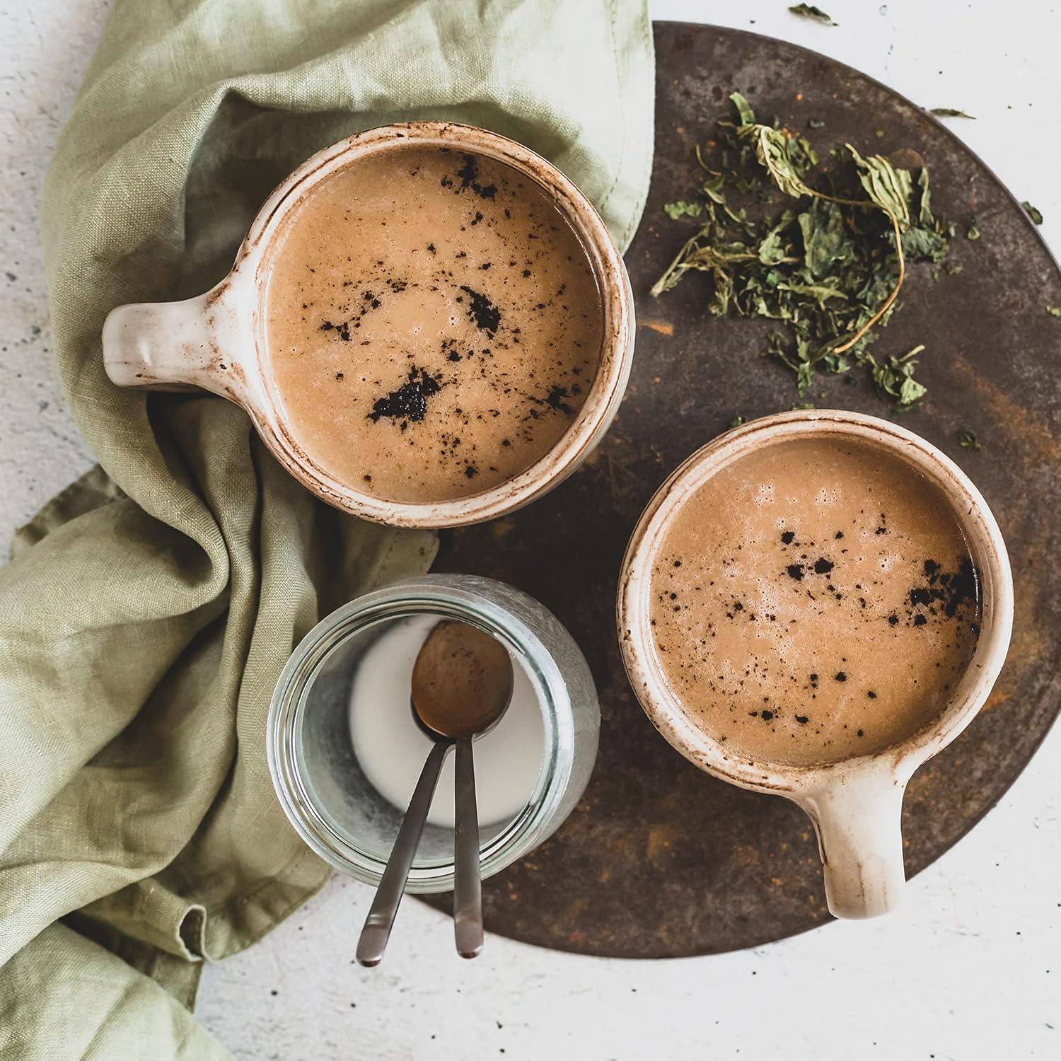 Polvo de Hongo Chaga Orgánico Erbology 51g - 7% Beta-glucanos