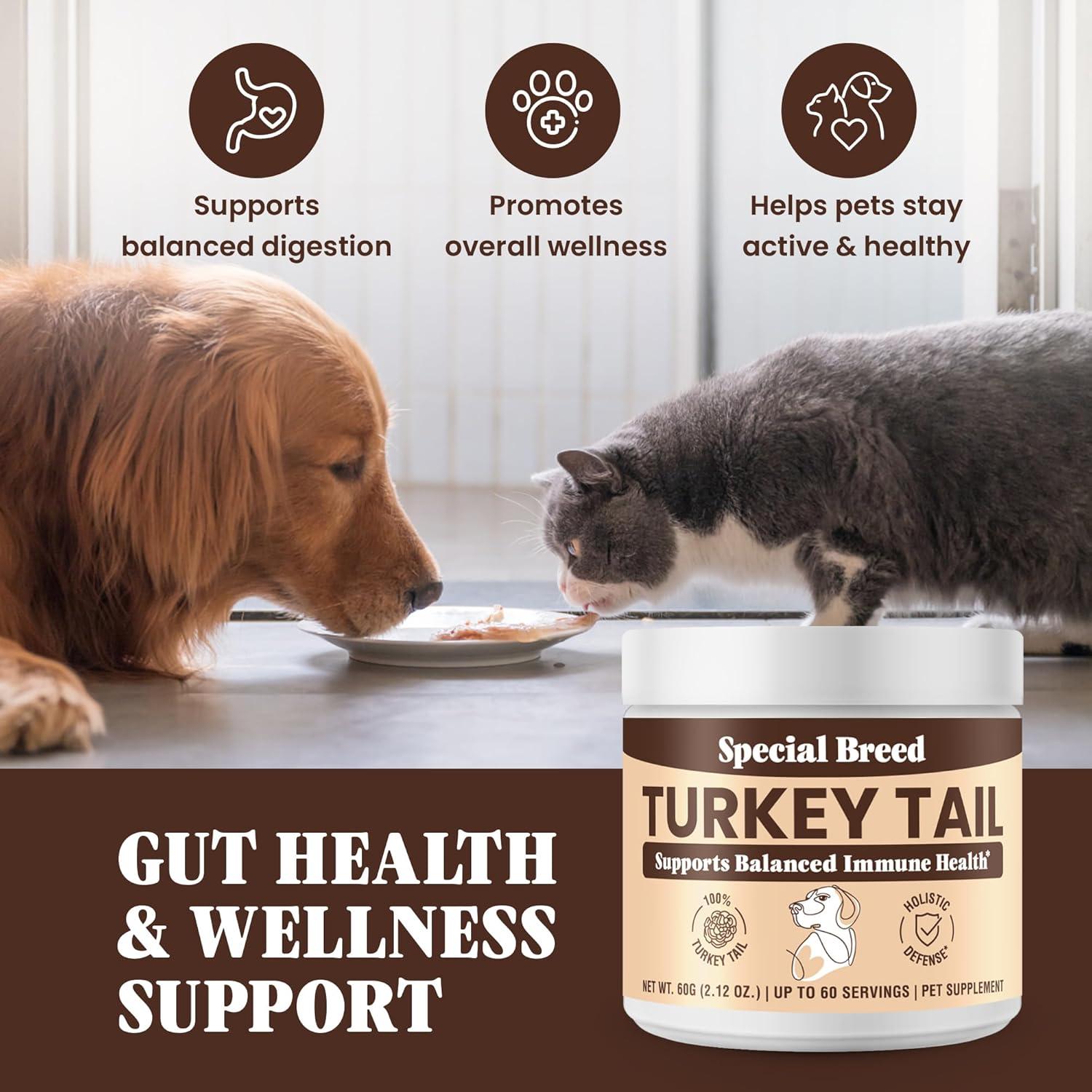 Hongo Cola de Pavo Orgánico Special Breed 60g - Suplemento para Perros y Gatos