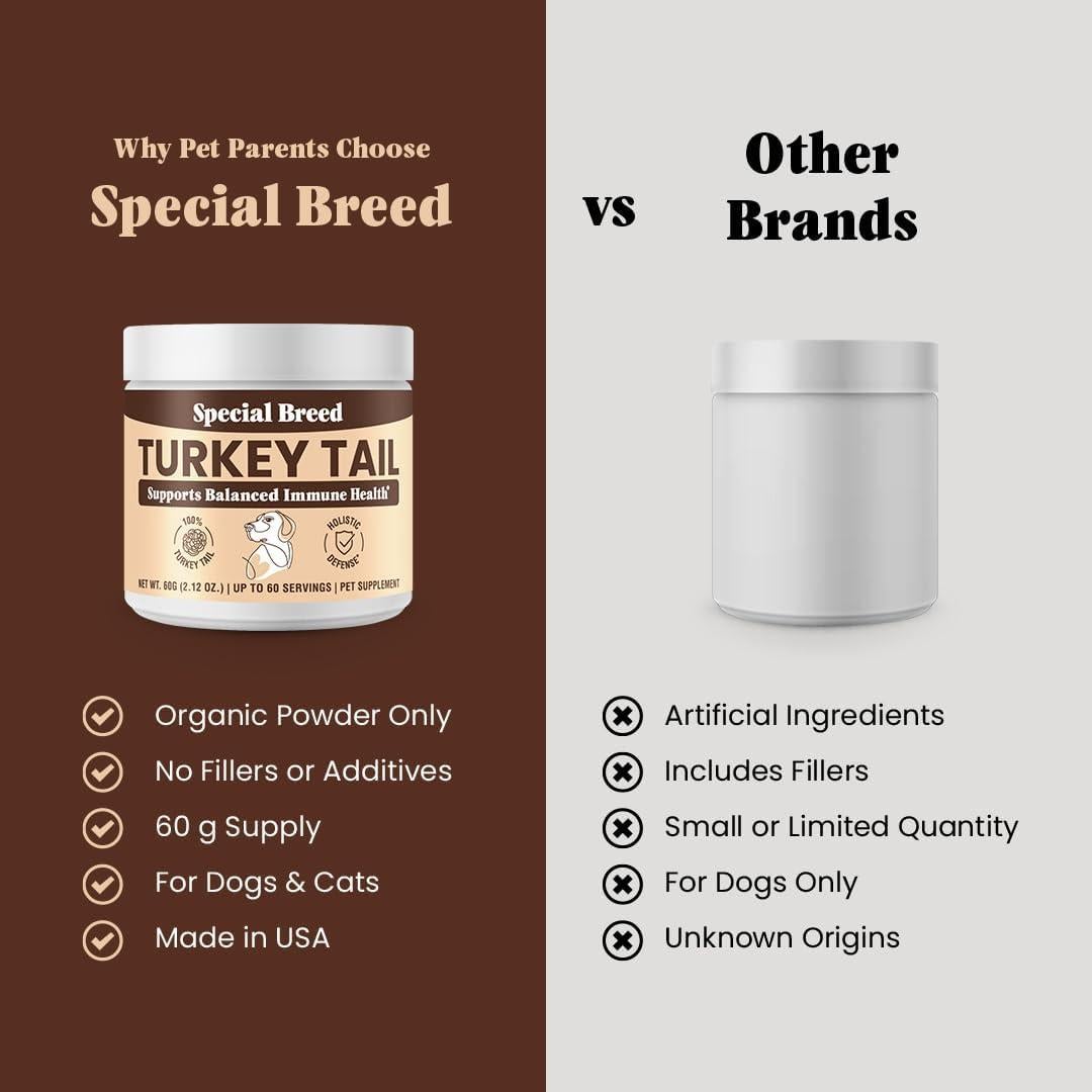 Hongo Cola de Pavo Orgánico Special Breed 60g - Suplemento para Perros y Gatos