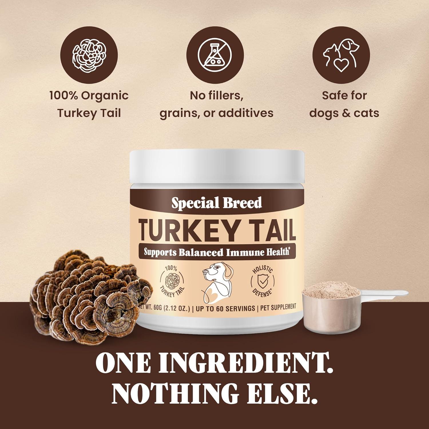 Hongo Cola de Pavo Orgánico Special Breed 60g - Suplemento para Perros y Gatos