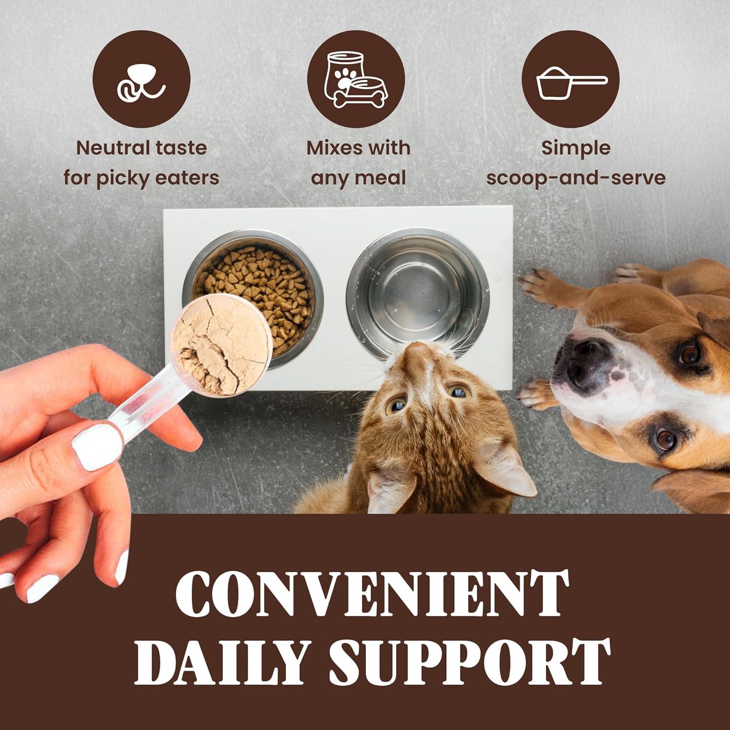 Hongo Cola de Pavo Orgánico Special Breed 60g - Suplemento para Perros y Gatos