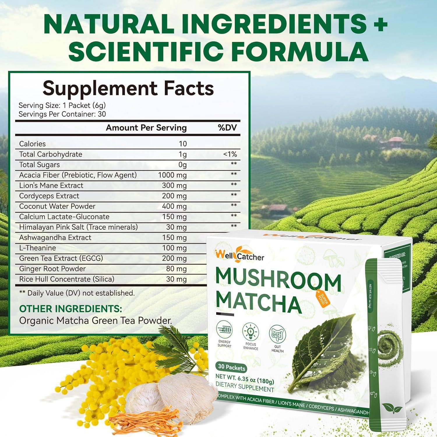 Polvo de Matcha Orgánico Wellcatcher 230g - Energía y Enfoque