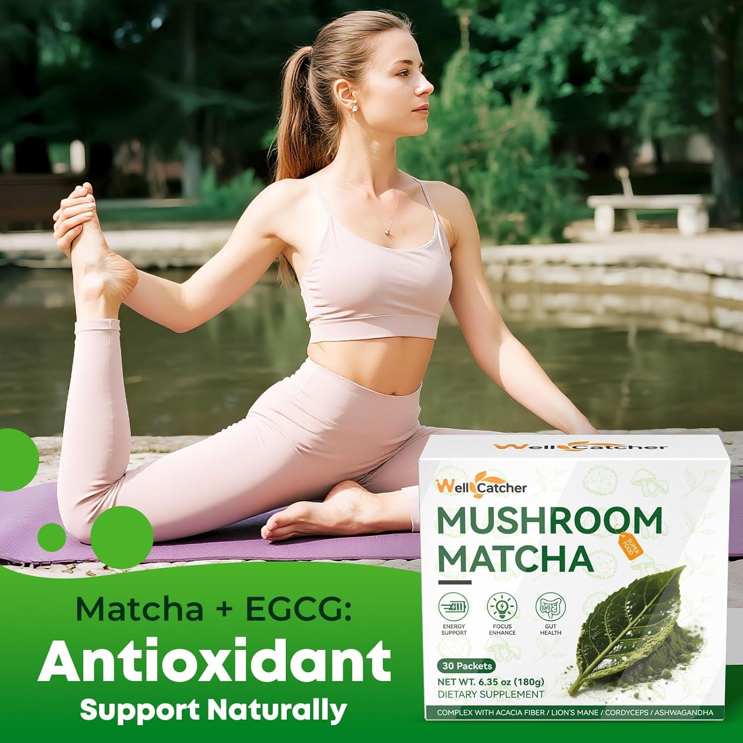 Polvo de Matcha Orgánico Wellcatcher 230g - Energía y Enfoque