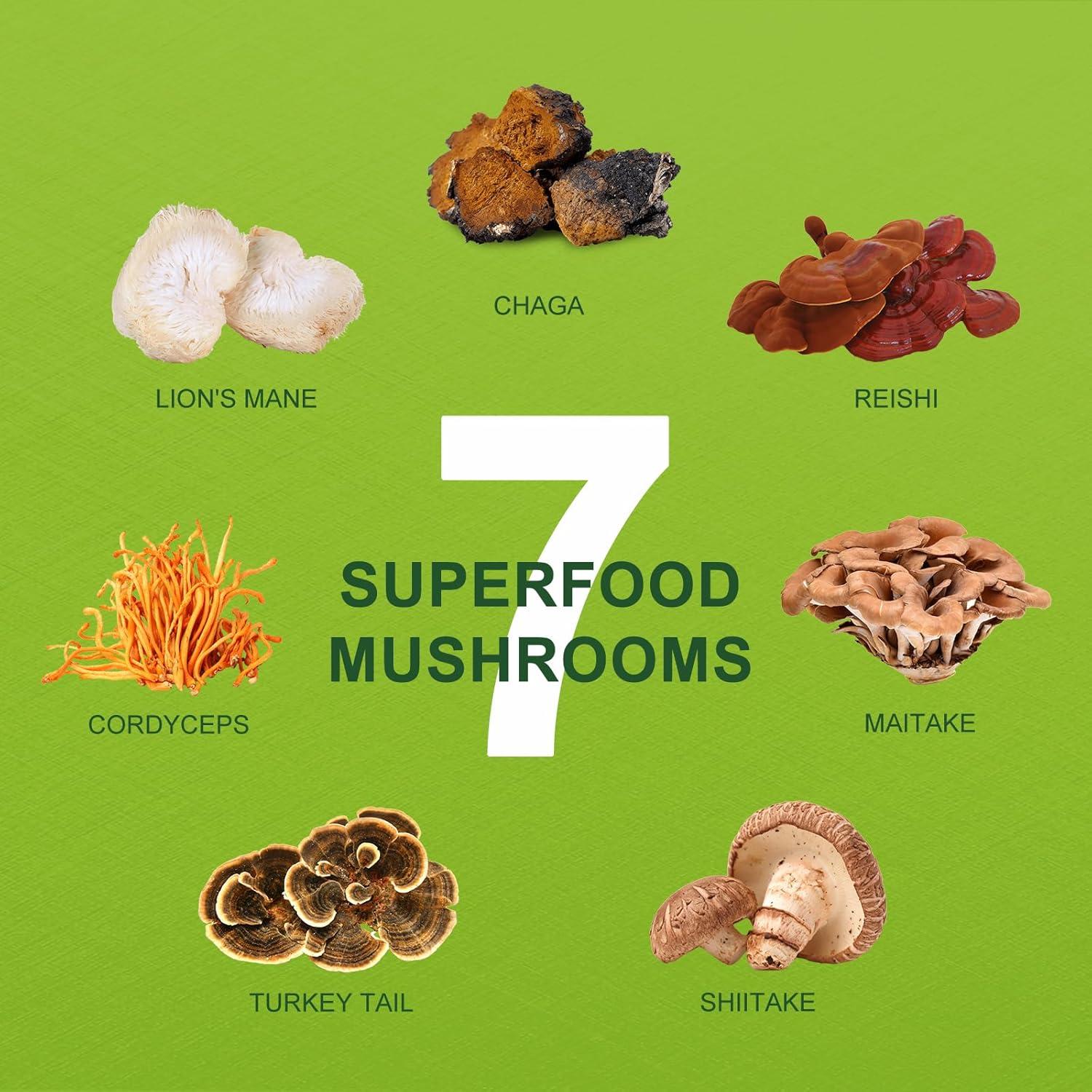 Hongo Matcha Ceremonial ORGFUN 130g - Latte Saludable Sin Azúcar