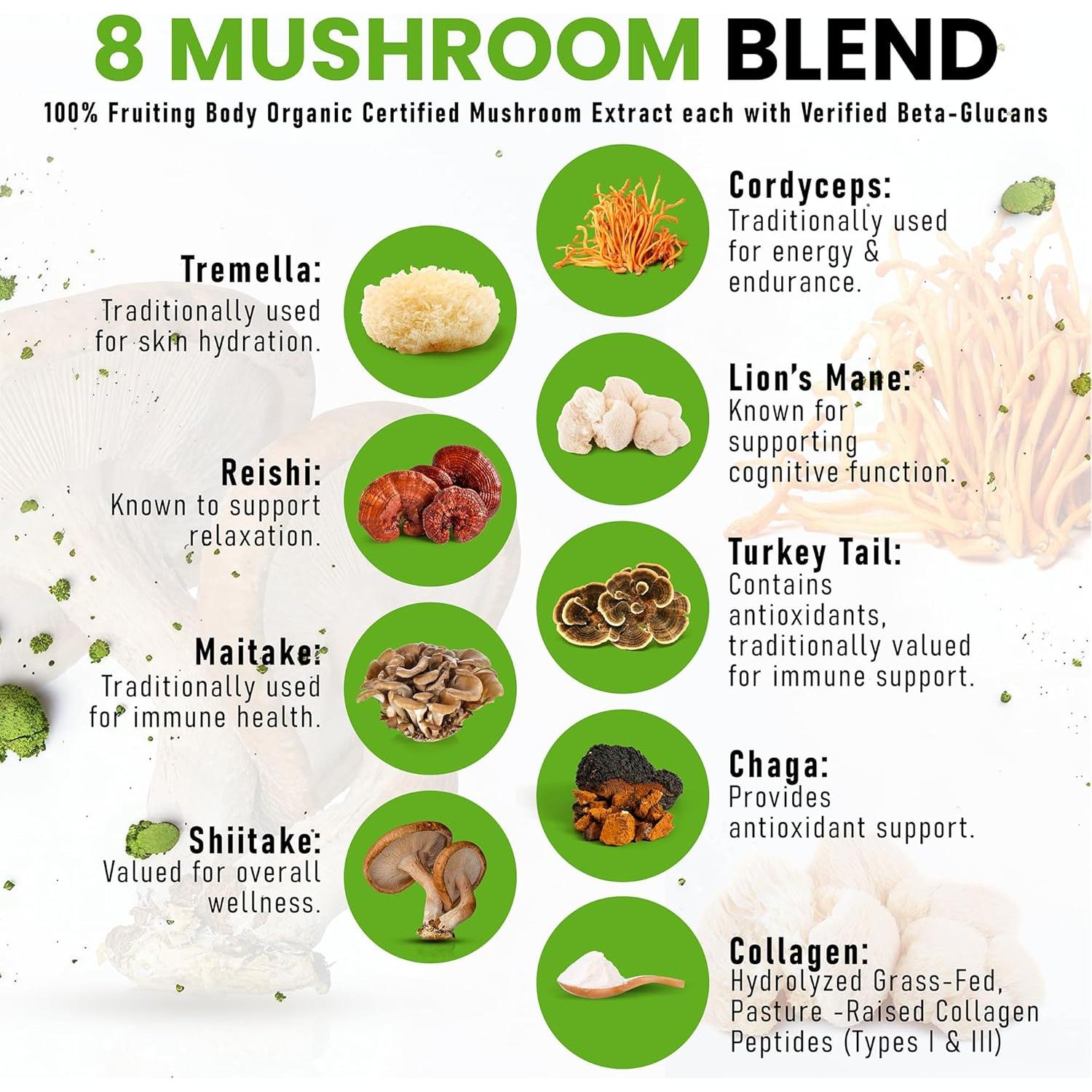 Matcha Ceremonial Orgánico PowderVitamin con 8 Hongos y Colágeno