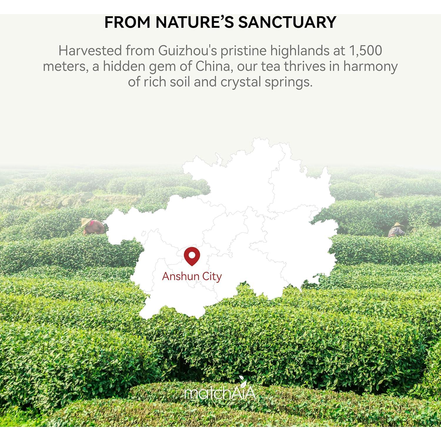 MatchAiA Polvo de Té Verde Matcha Orgánico 60g - Grado Culinario Premium