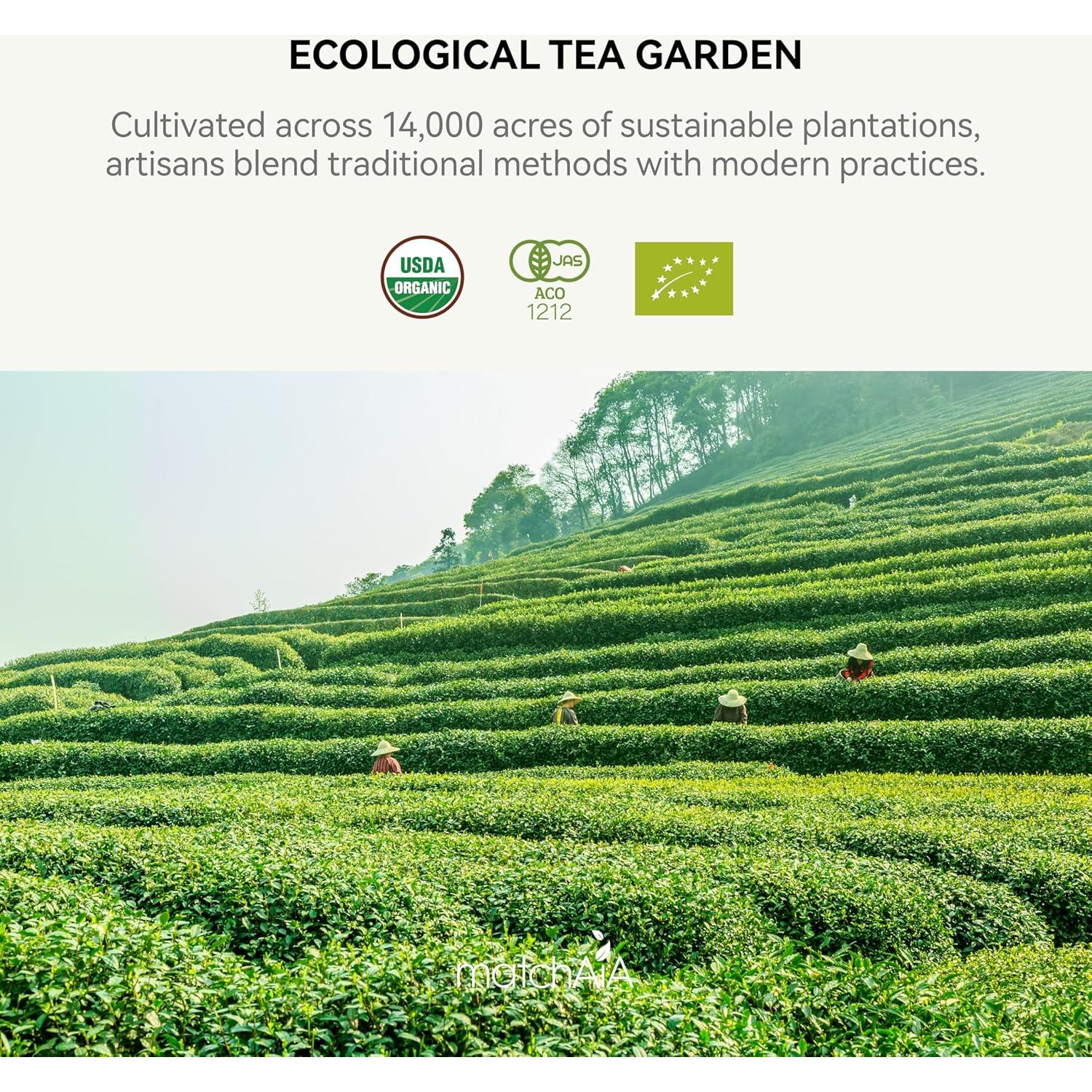 MatchAiA Polvo de Té Verde Matcha Orgánico 60g - Grado Culinario Premium