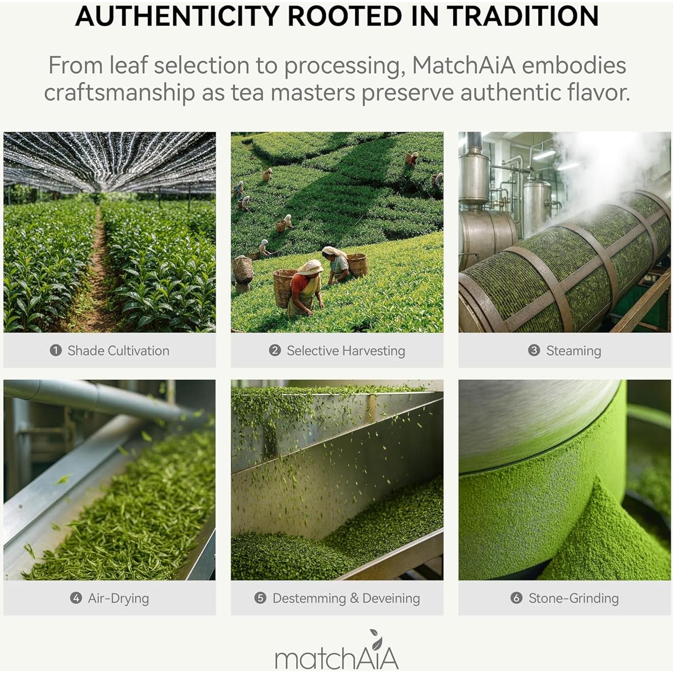 MatchAiA Polvo de Té Verde Matcha Orgánico 60g - Grado Culinario Premium