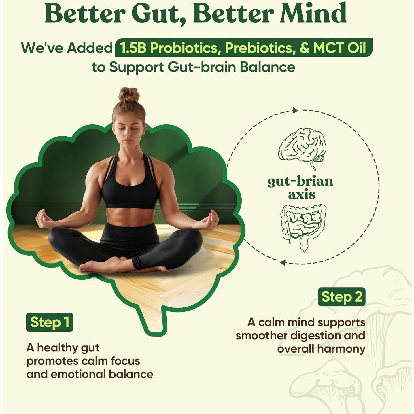 Matcha Ceremonial Venture Pal 165g con 12 Superfoods y Probioticos