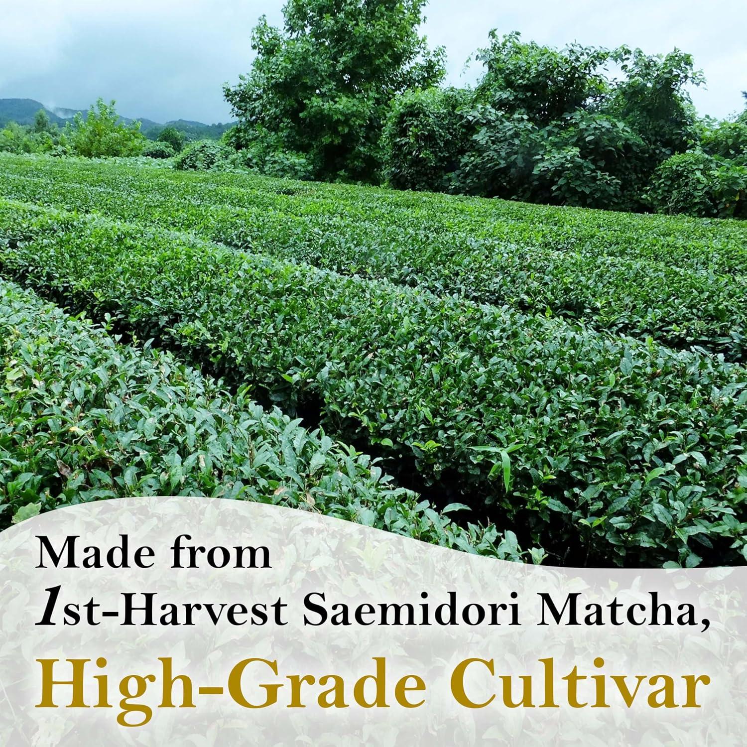 Pasta de Matcha Pura Japonesa YAMASAN KYOTO UJI 100g