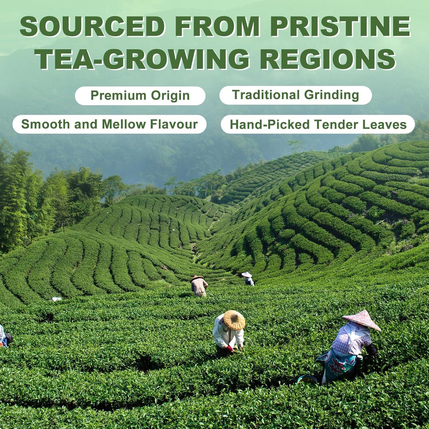 Polvo de Matcha Orgánico DR.YES 240g - Grado Premium, Sin Gluten