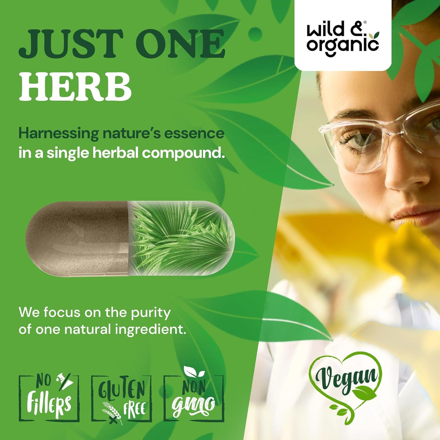 Cápsulas de Saw Palmetto Silvestre y Orgánico 500 mg - 120 Unidades