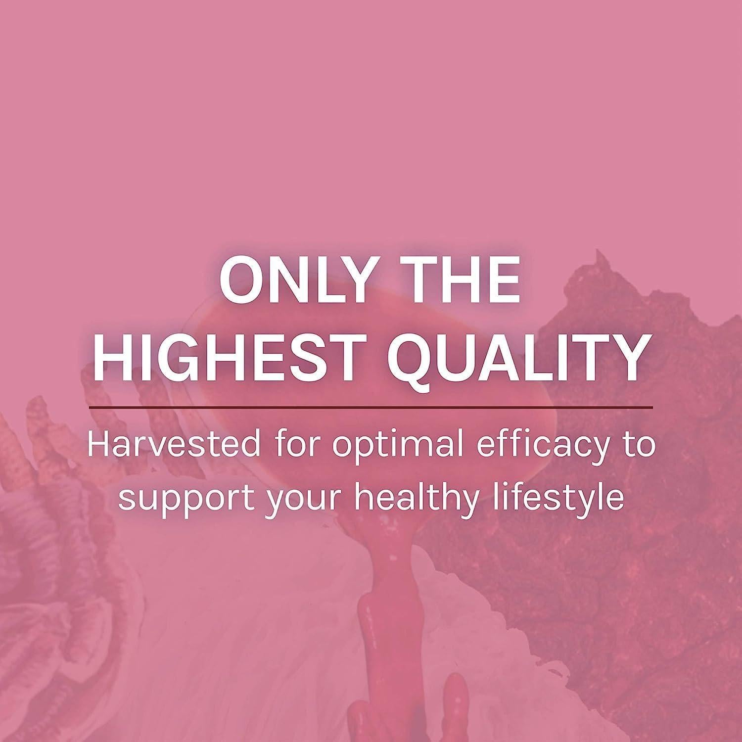 Suplemento Digestivo Host Defense MycoBotanicals 99.22 g