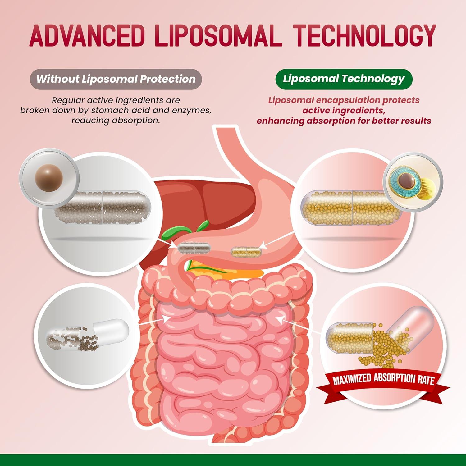 Suplemento D-Mannosa Liposomal Arándano HarmoVira 180 Cápsulas