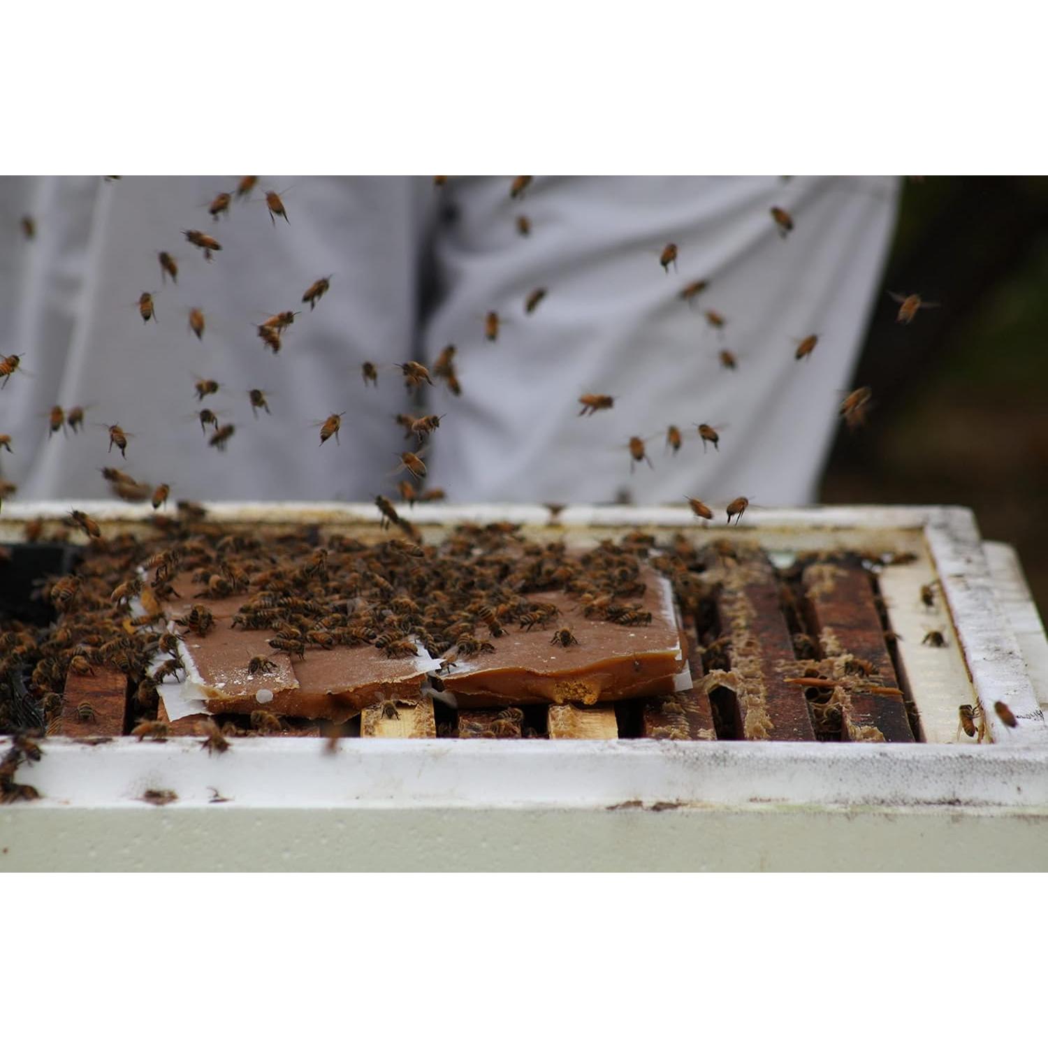 Suplemento Alimenticio para Abejas Global Patties 4% Pólen 2 Unidades 0.45 kg