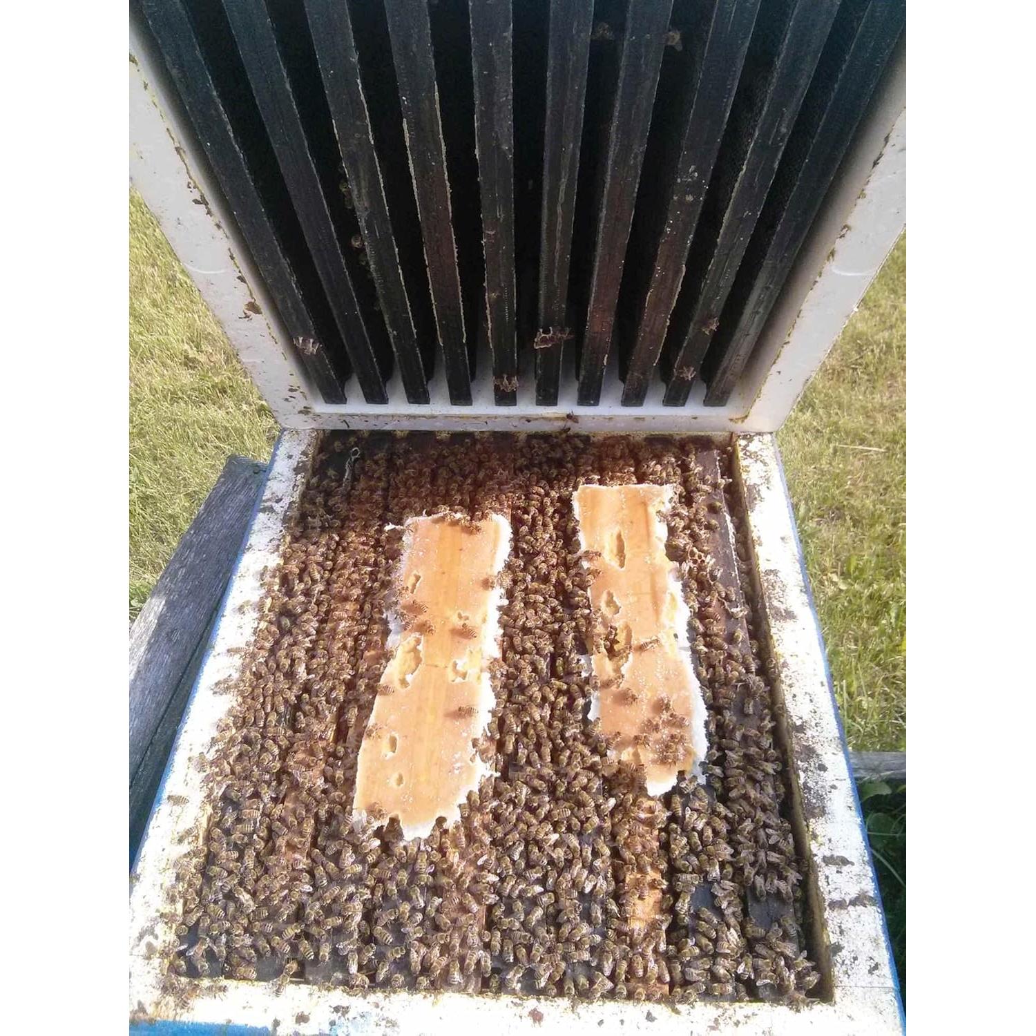 Suplemento Alimenticio para Abejas Global Patties 4% Pólen 2 Unidades 0.45 kg