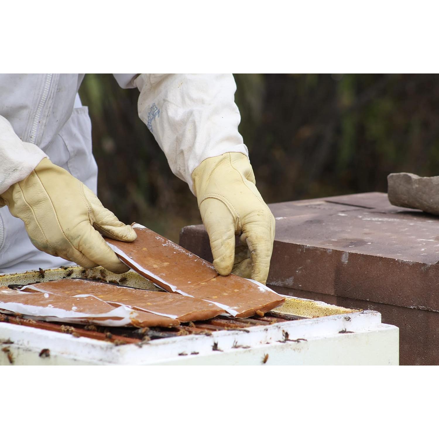 Suplemento Alimenticio para Abejas Global Patties 4% Pólen 2 Unidades 0.45 kg