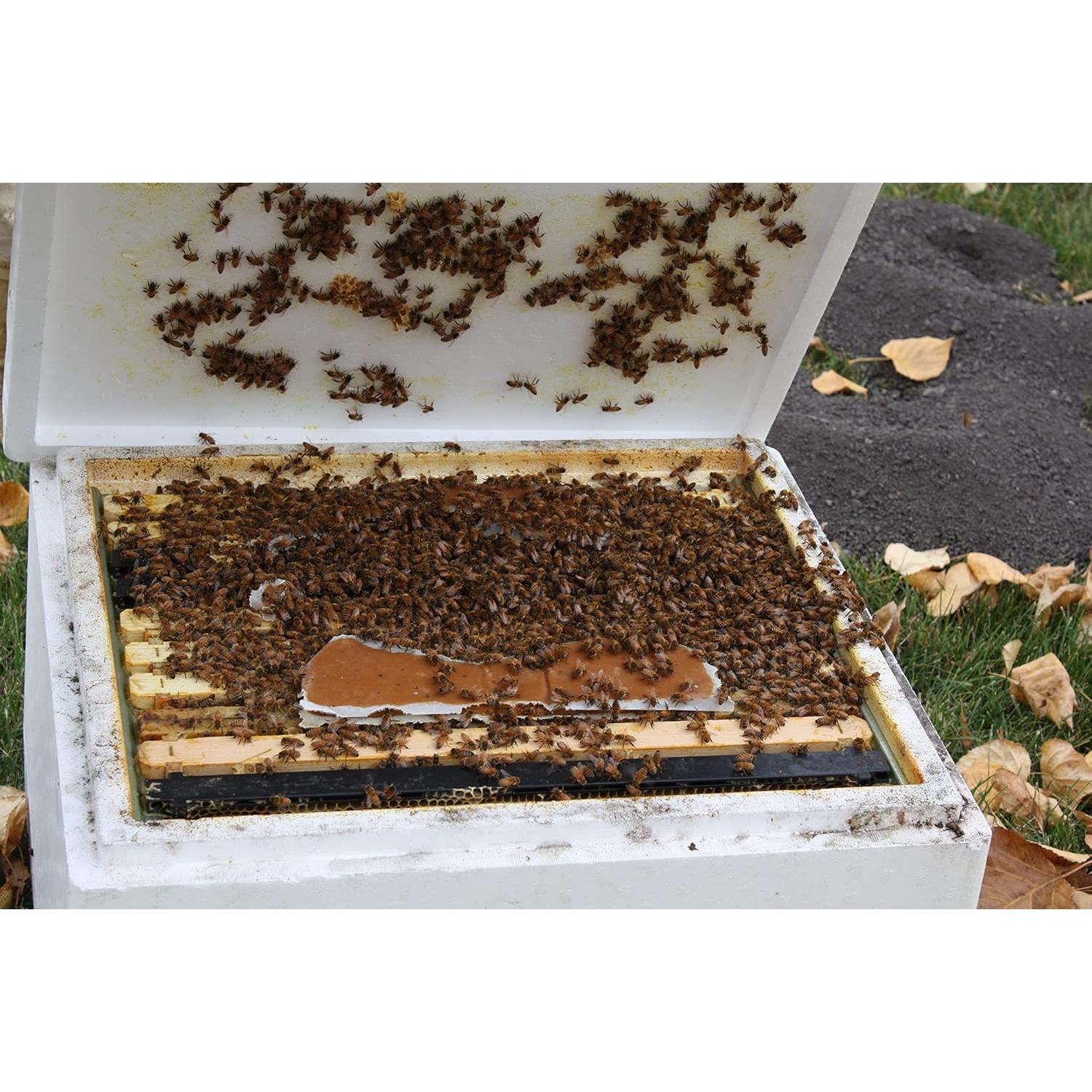 Suplemento Alimenticio para Abejas Global Patties 4% Pólen 2 Unidades 0.45 kg