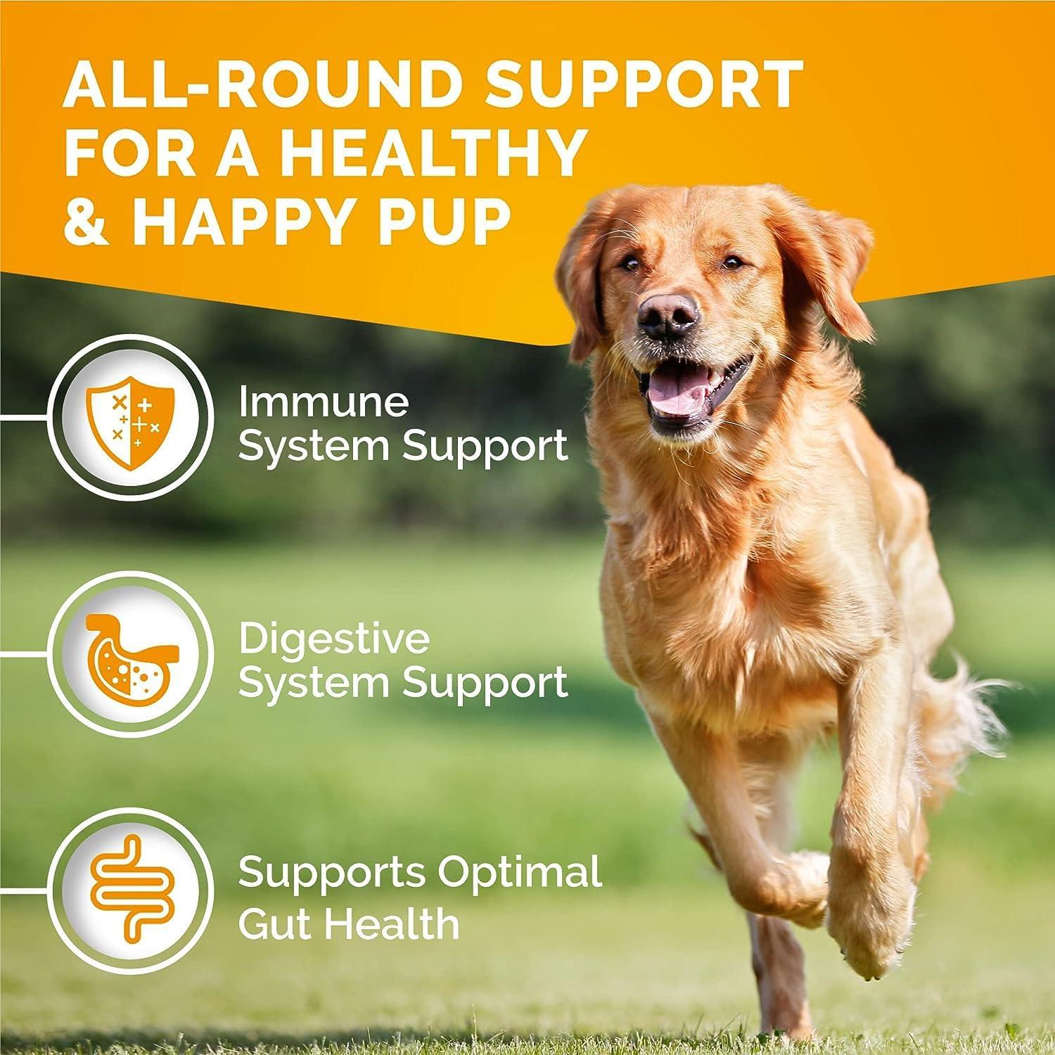 Galletas Antipicazón para Perros PremiumCare - 120 Unidades