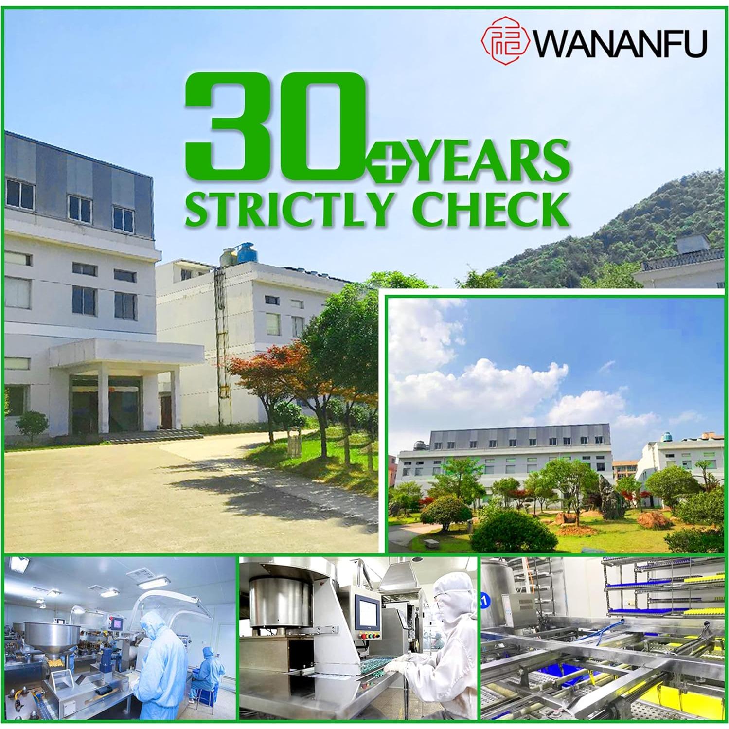 Cápsulas Vacías Vegetarianas Tamaño 1 Wananfu 500 Unidades