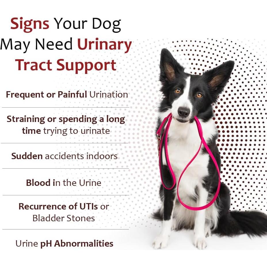 Suplemento K-Plus Citrato de Potasio con Arándano para Perros - 100 Tabletas Masticables