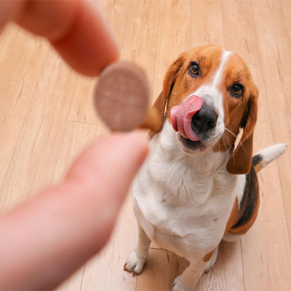 Suplemento K-Plus Citrato de Potasio con Arándano para Perros - 100 Tabletas Masticables