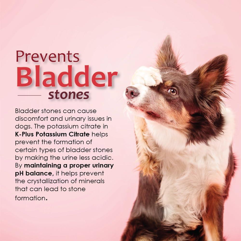 Suplemento K-Plus Citrato de Potasio con Arándano para Perros - 100 Tabletas Masticables