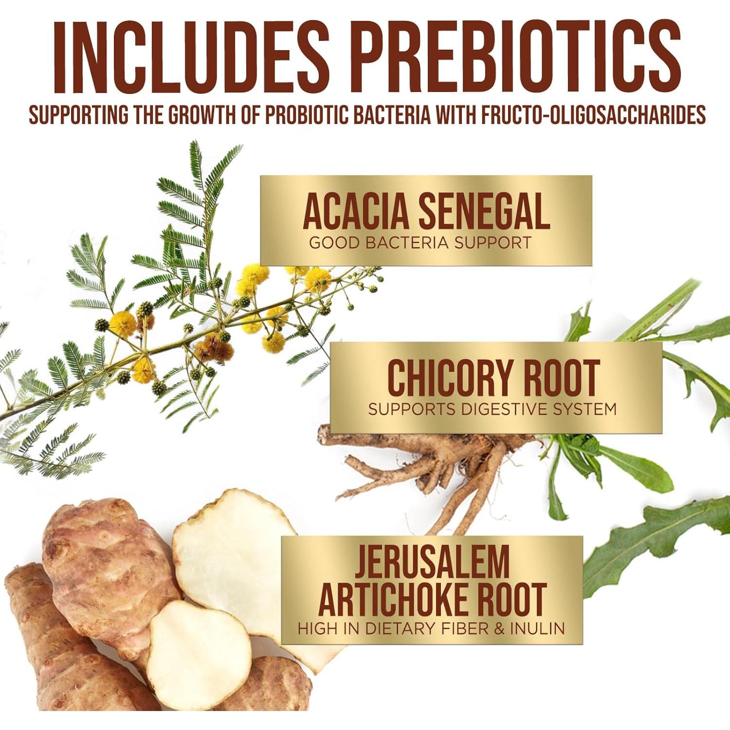 Probioticos Nutrición de la Naturaleza 60 Mil millones CFU 60 Cápsulas