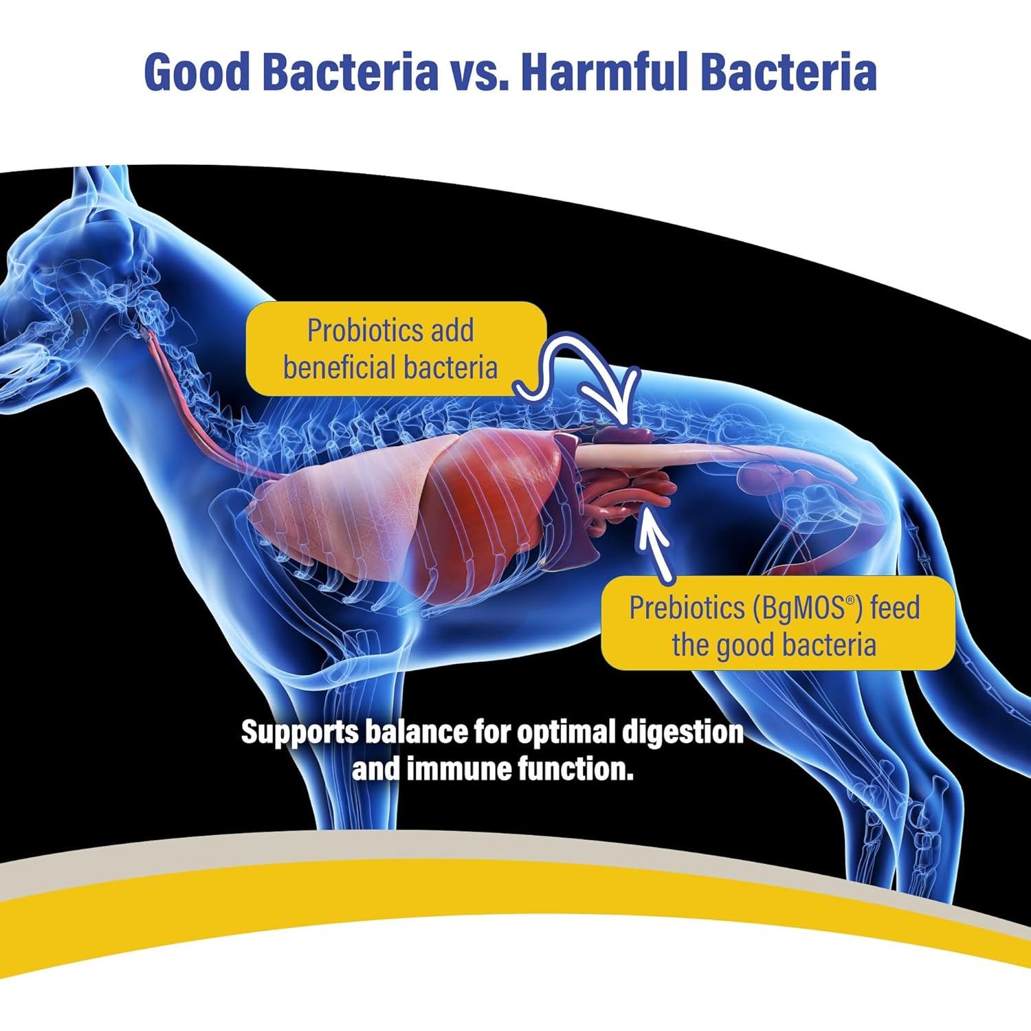 Gránulos Probioticos y Prebioticos Doc Roy GI Synbiotics 454g