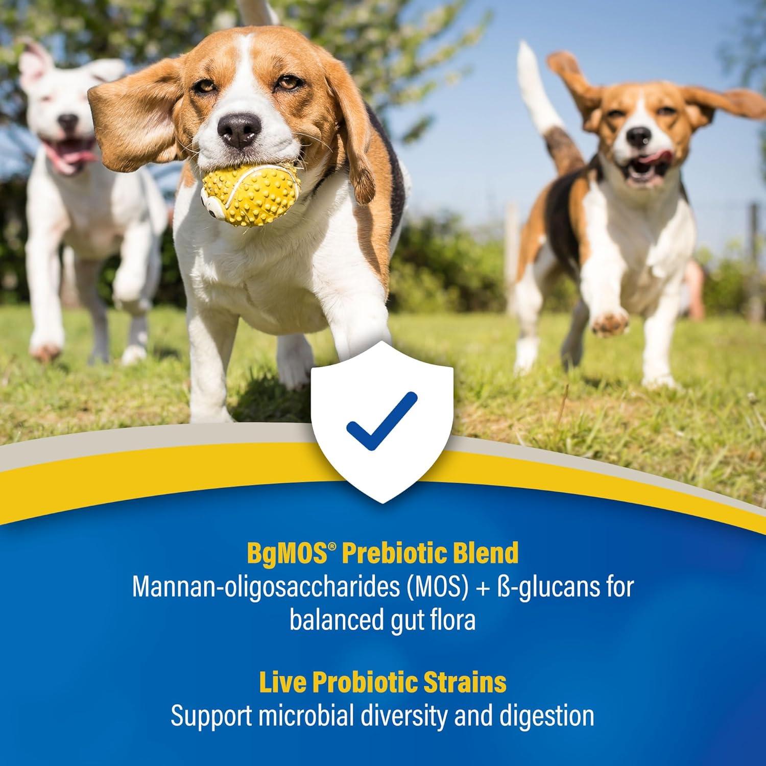 Gránulos Probioticos y Prebioticos Doc Roy GI Synbiotics 454g