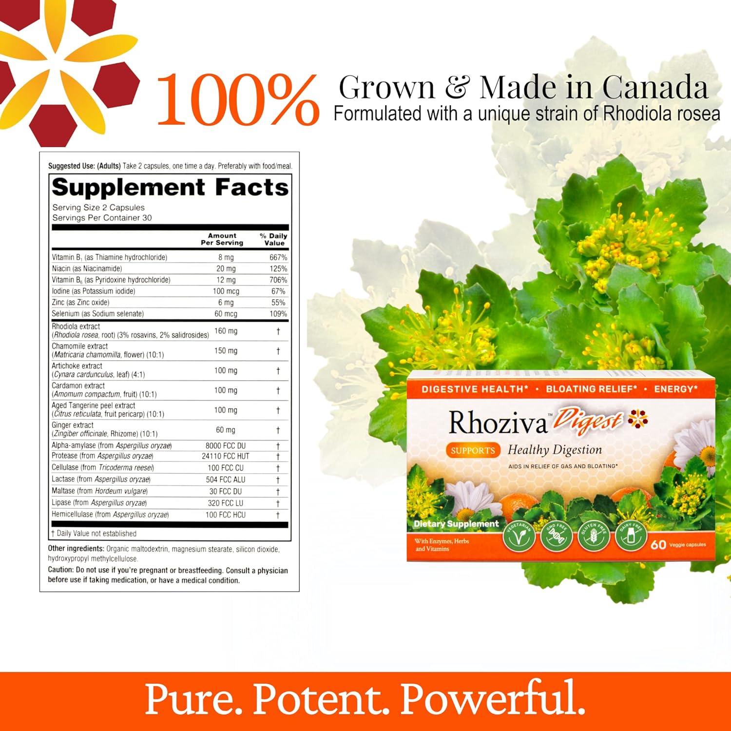 Suplemento Digestivo Rhoziva Digest 60 Cápsulas - Salud Intestinal