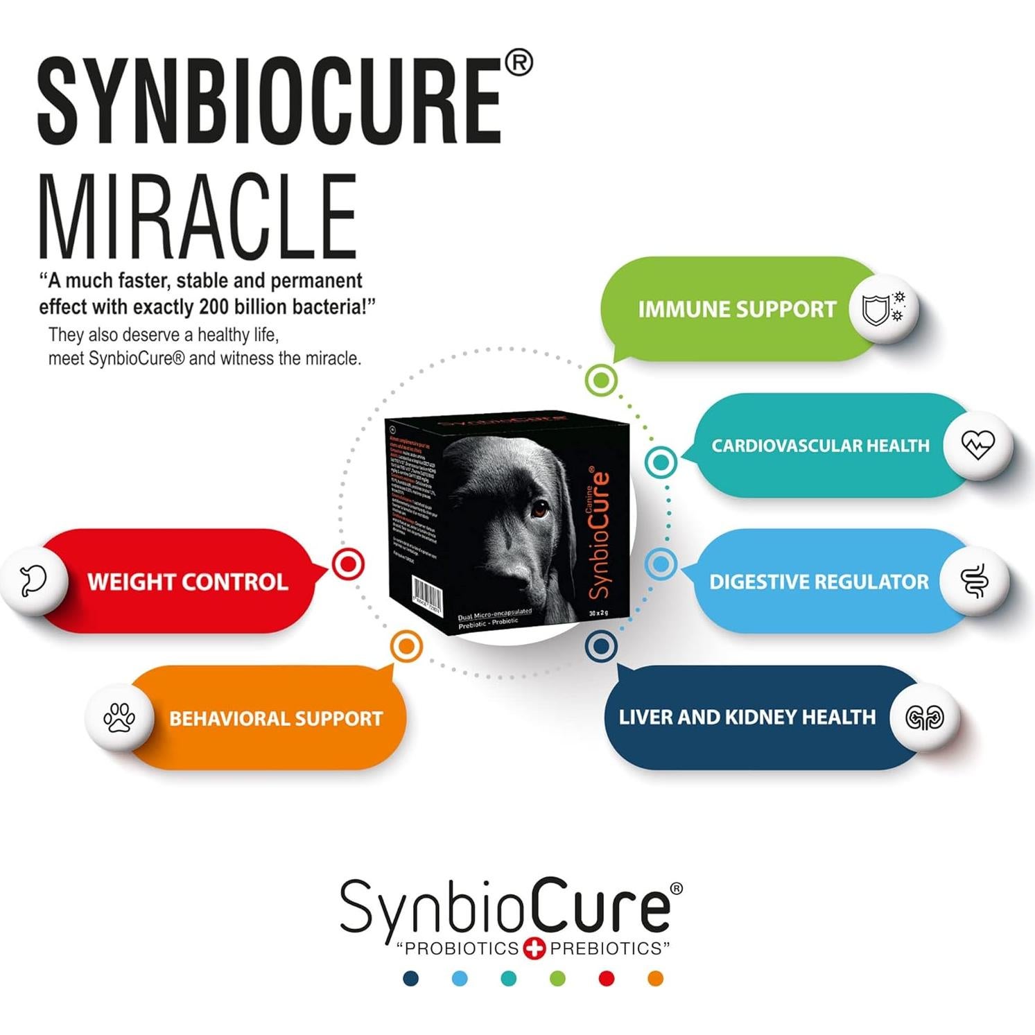 Suplemento Probioticos y Prebioticos para Perros SynbioCure 30 Sobres