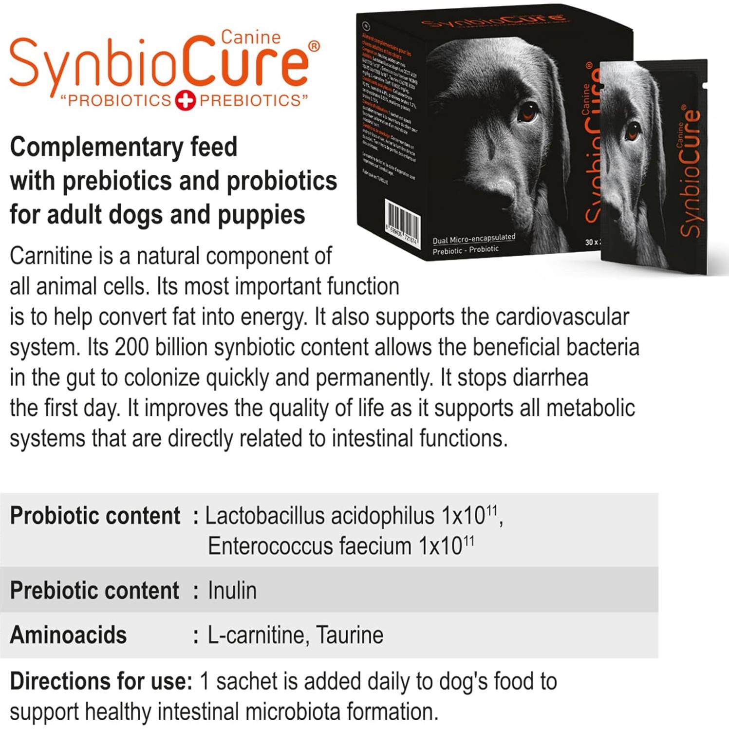Suplemento Probioticos y Prebioticos para Perros SynbioCure 30 Sobres