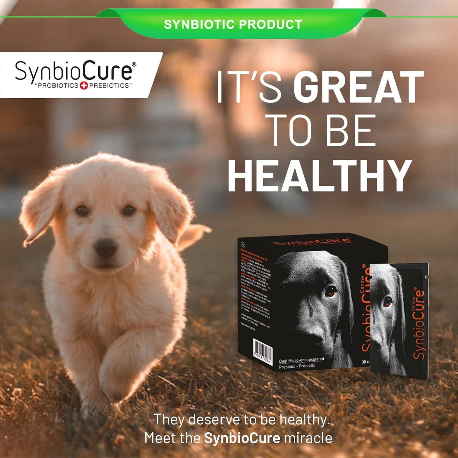Suplemento Probioticos y Prebioticos para Perros SynbioCure 30 Sobres