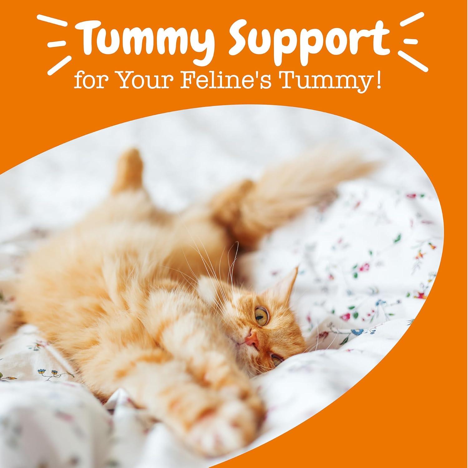 Probioticos para Gatos Zesty Paws - Polvo Digestivo 30 Ct