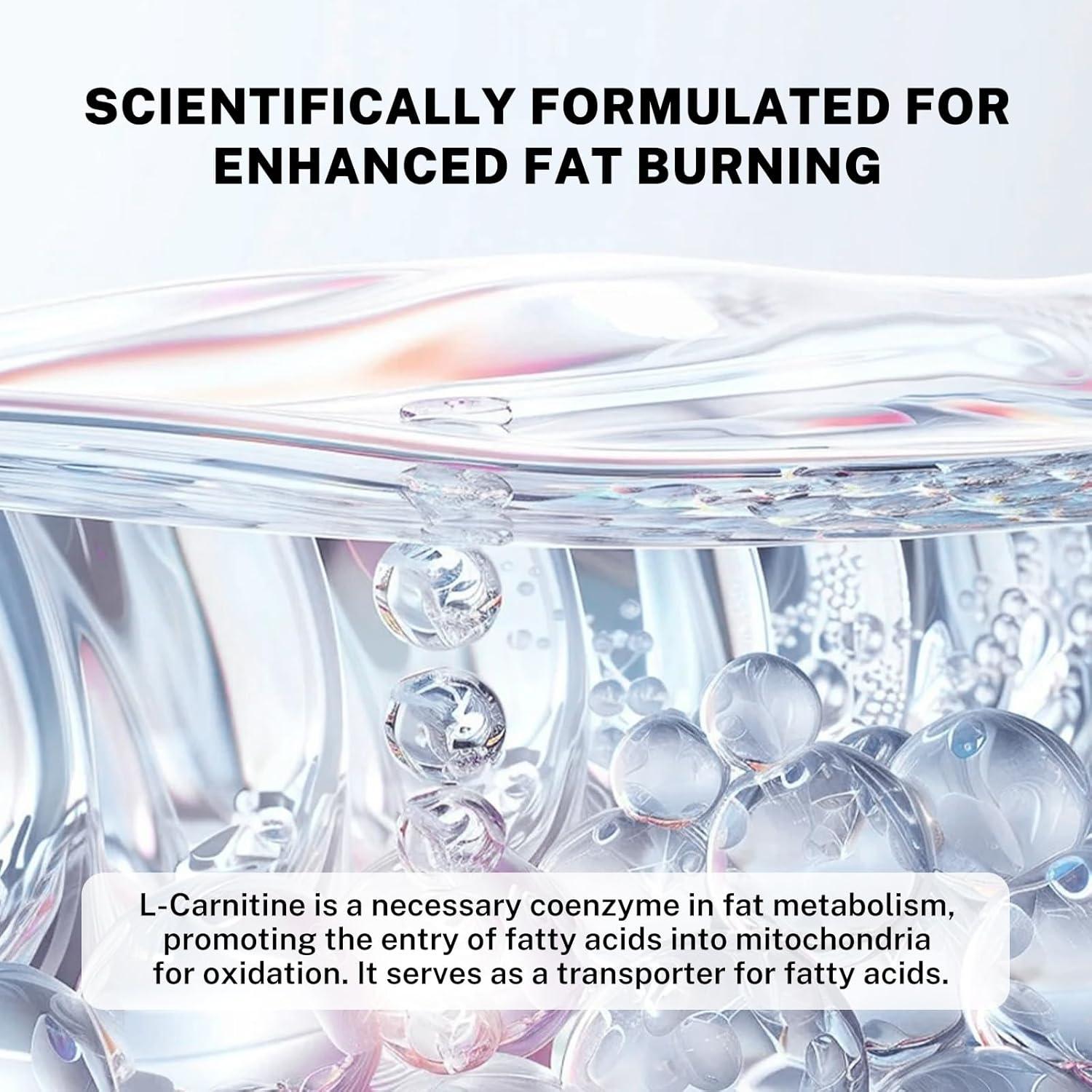 Suplemento Probióticos L-Carnitina DrBioCare 60 Cápsulas