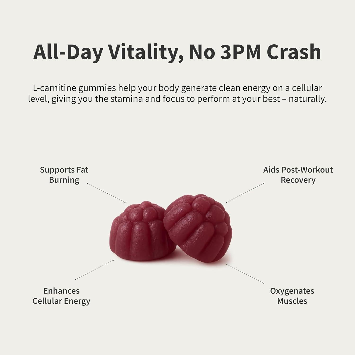 Gominolas L-Carnitina 500mg Snap Supplements - Sin Azúcar, 60 Unidades