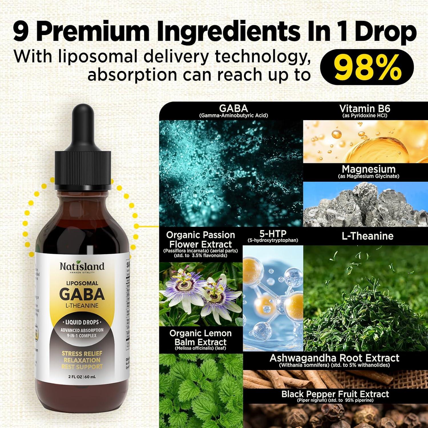 Gotas Liposomales de GABA L-Theanina Natisland 59.15 ml