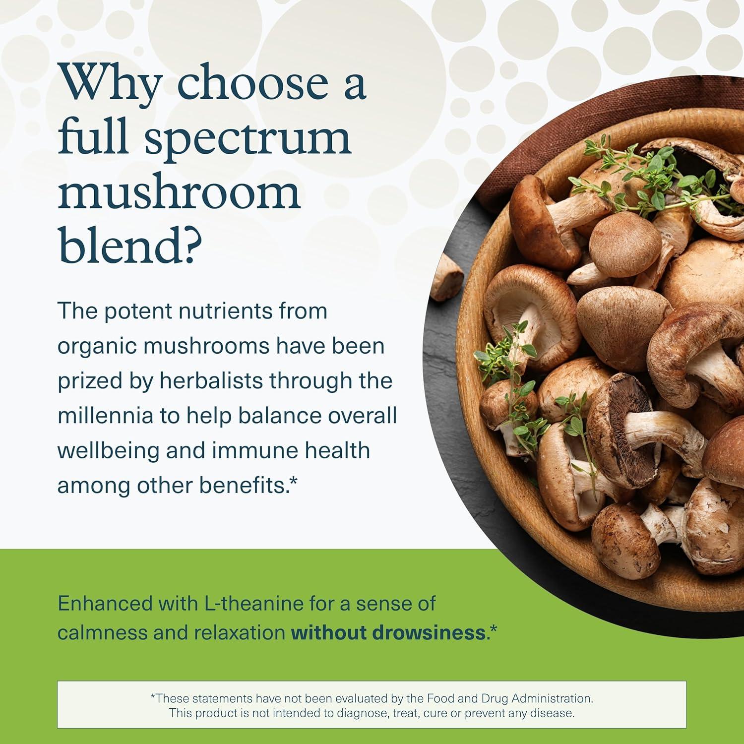 Complejo de Estrés de Hongos Youtheory 60 Cápsulas Vegetarianas