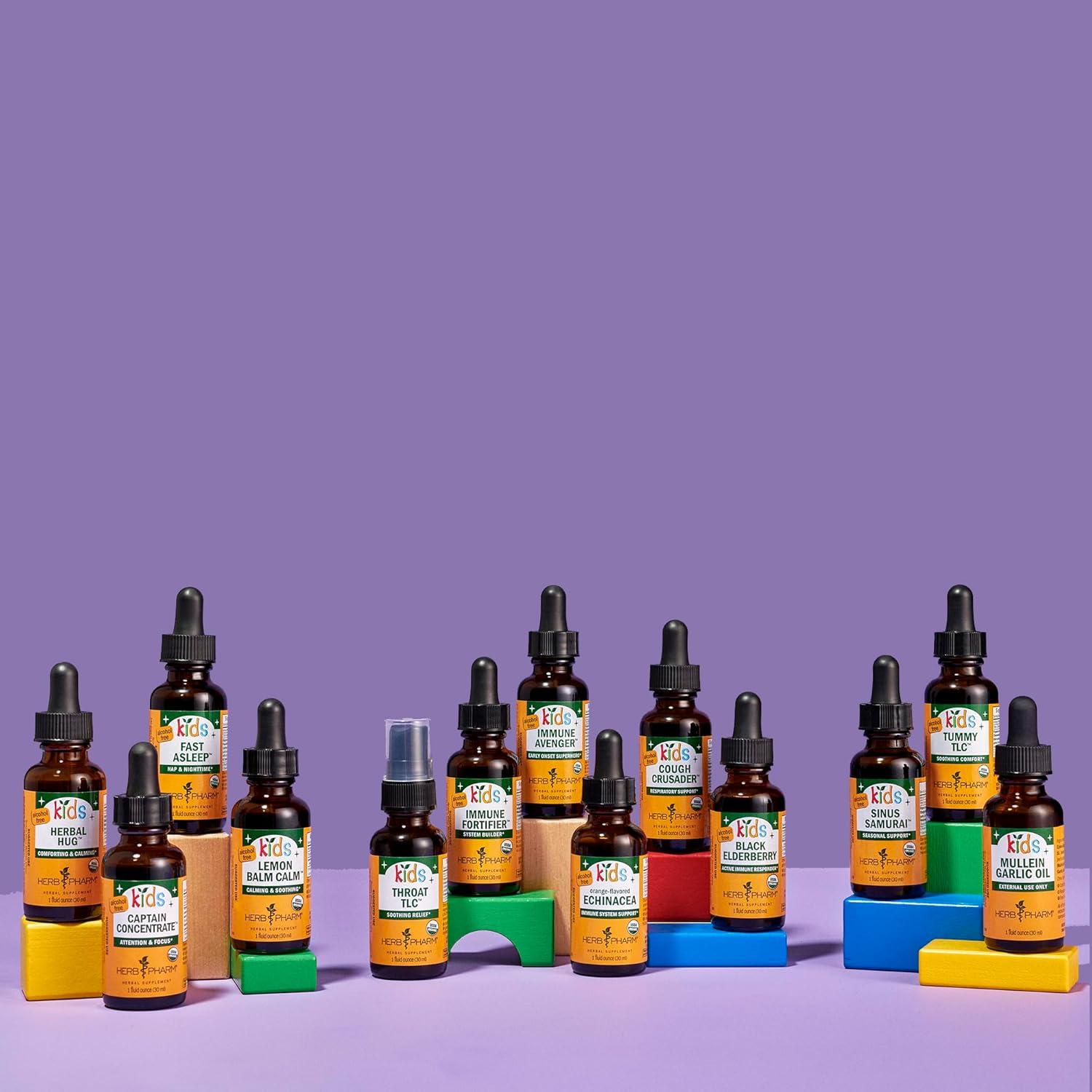 Suplemento Herbal para Niños Herb Pharm 28.35 g - Apoyo Nervioso