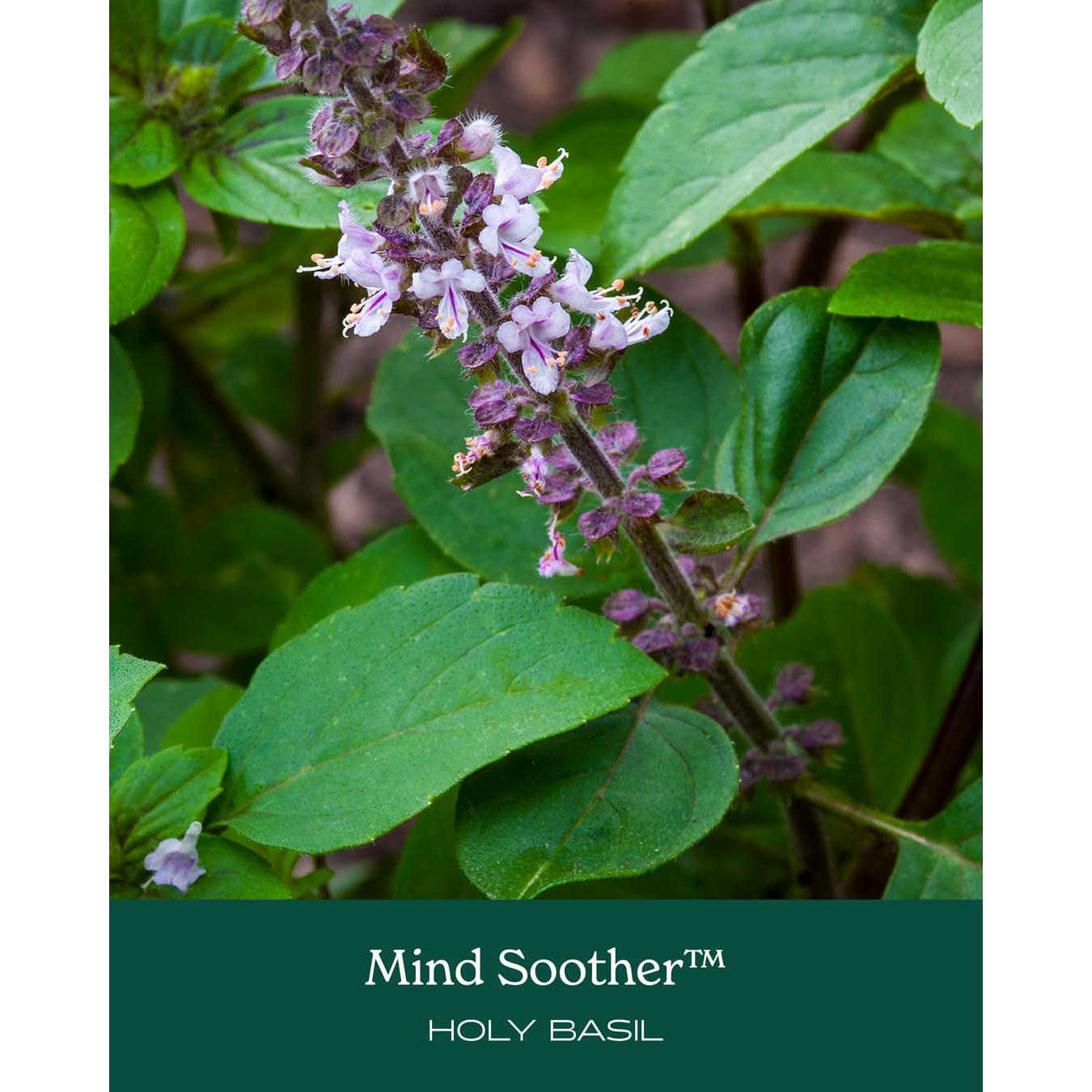 Suplemento Líquido Calmante Herb Pharm Kava y Albahaca Sagrada 118 ml