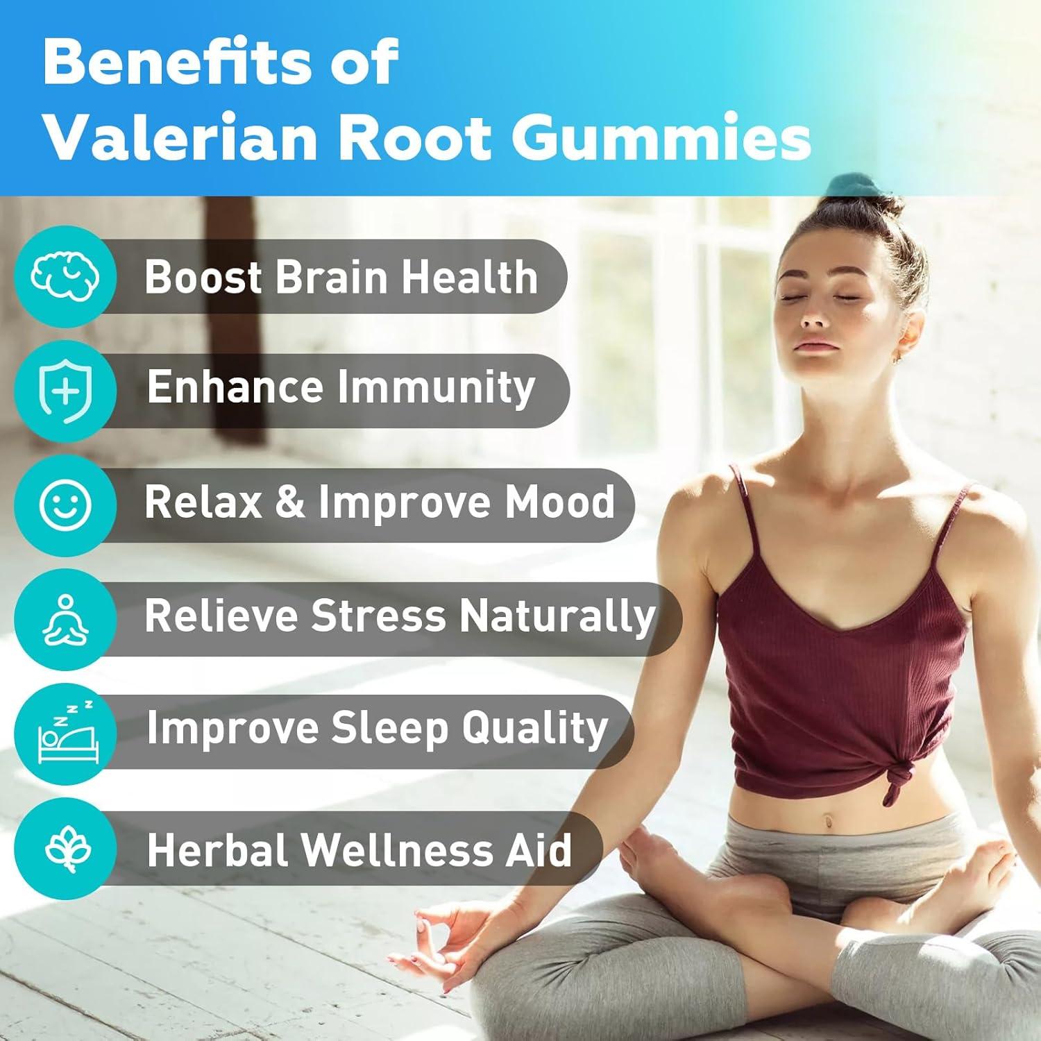 Gomitas de Raíz de Valeriana Flyrocer 60 Unidades Sabor Arándano